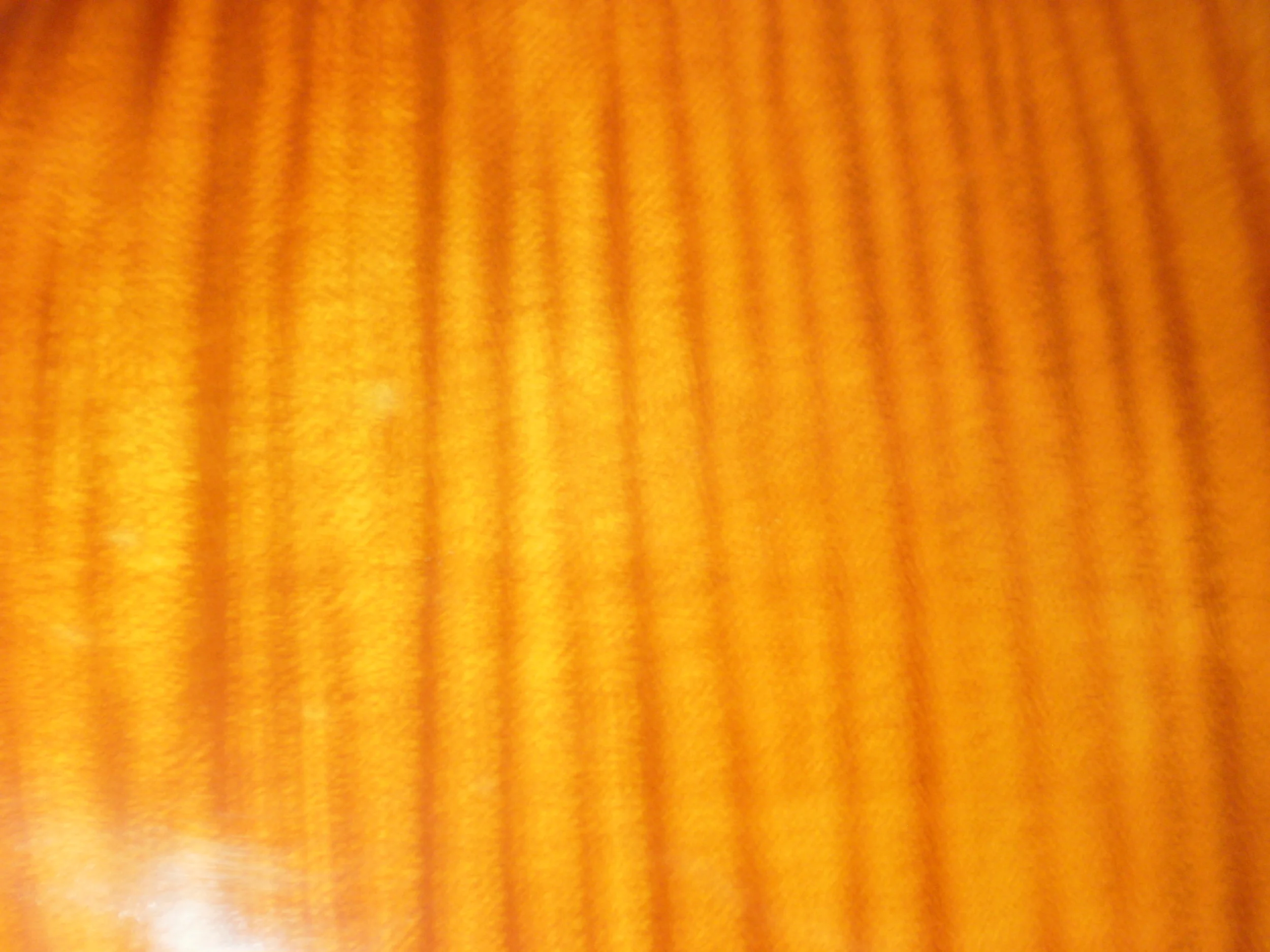 P8290029.JPG