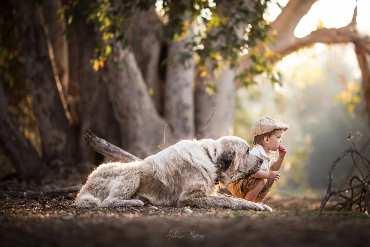 Adrian Murray