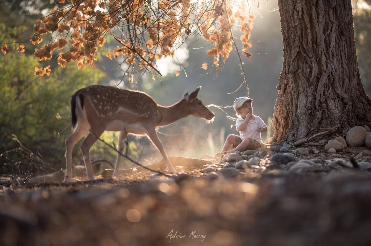 Adrian Murray