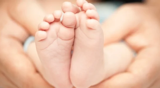 How Surrogate Mother, 2 Fathers Built An Amazing Family