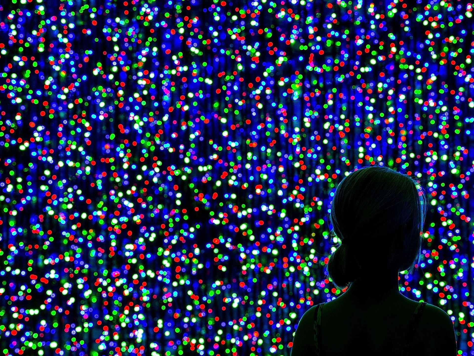 Dad Breaks World Record With Giant Christmas Light Display