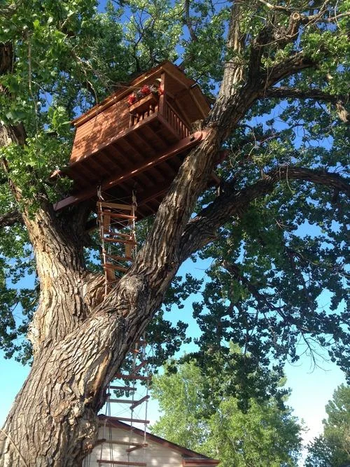 Dad Builds Daughter an Awesome Tree House for Her 5th Birthday