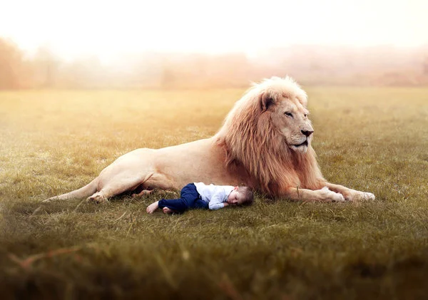 White Lion