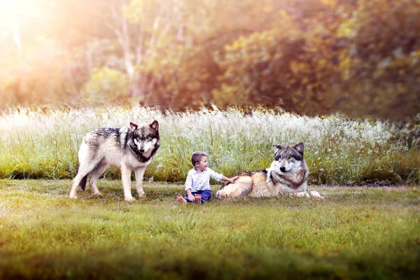 Liam Of The Wolves