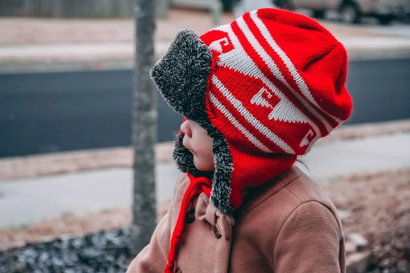 Photo by Travis Grossen on Unsplash