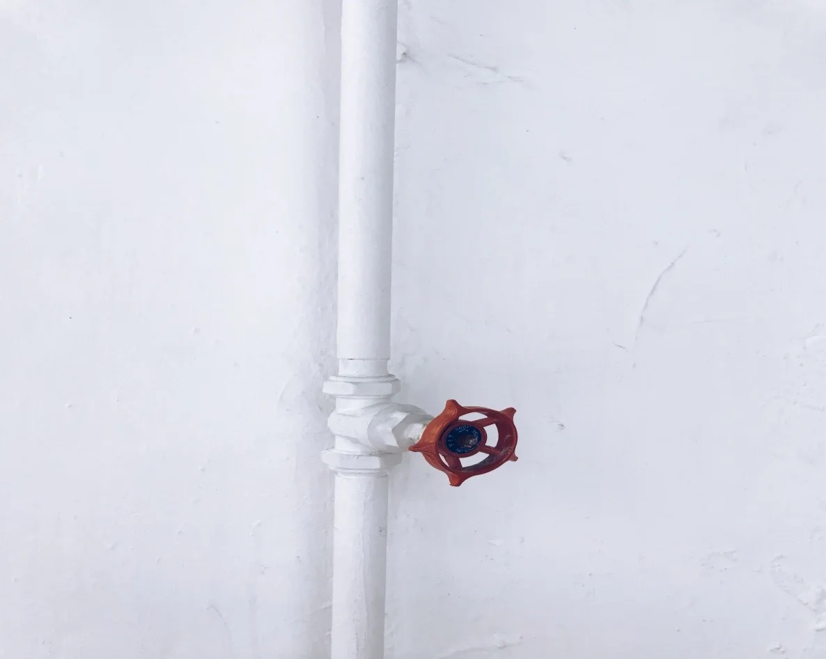 Image Source: Unsplash