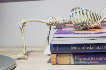 Med School: Frequently Asked Questions