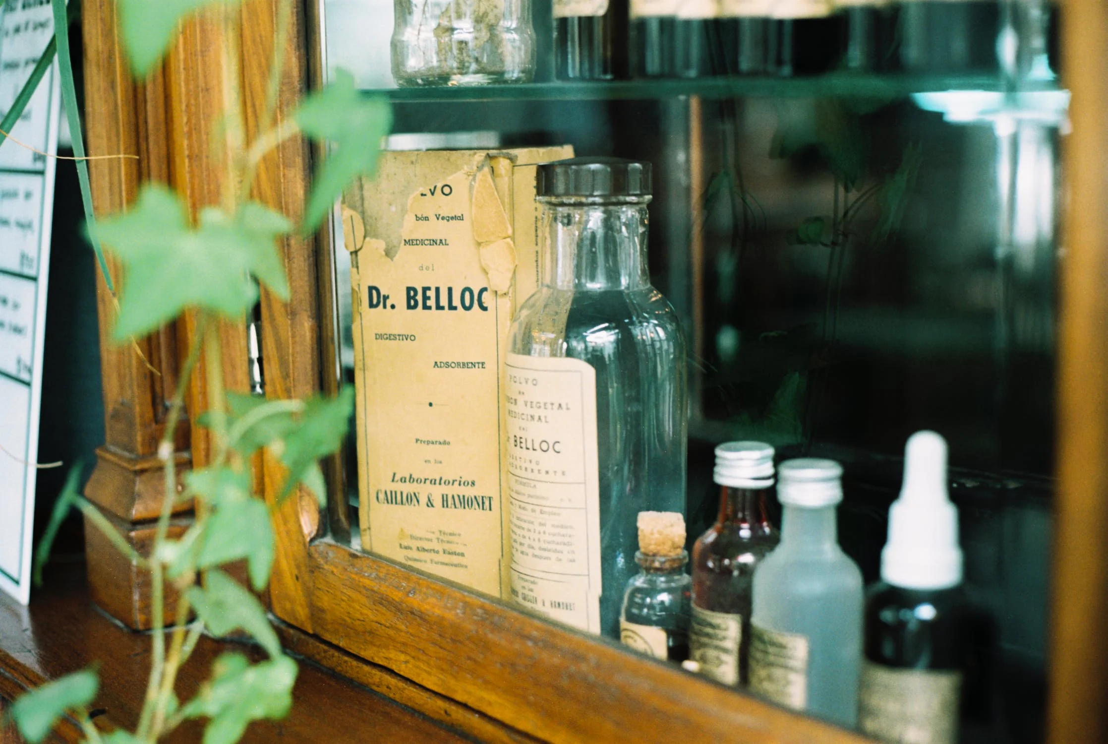 herbal medicine.jpeg