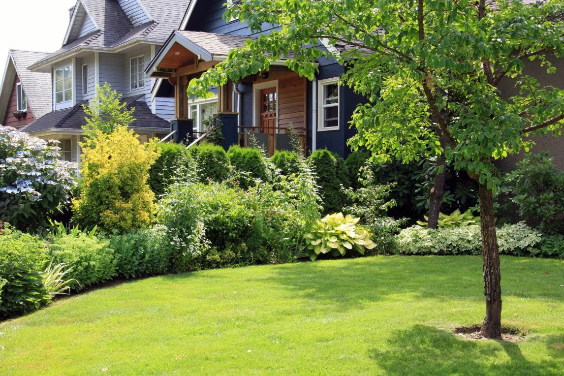 9 Front Yard Trees That'll Make Your Home a Sight for Sore Eyes