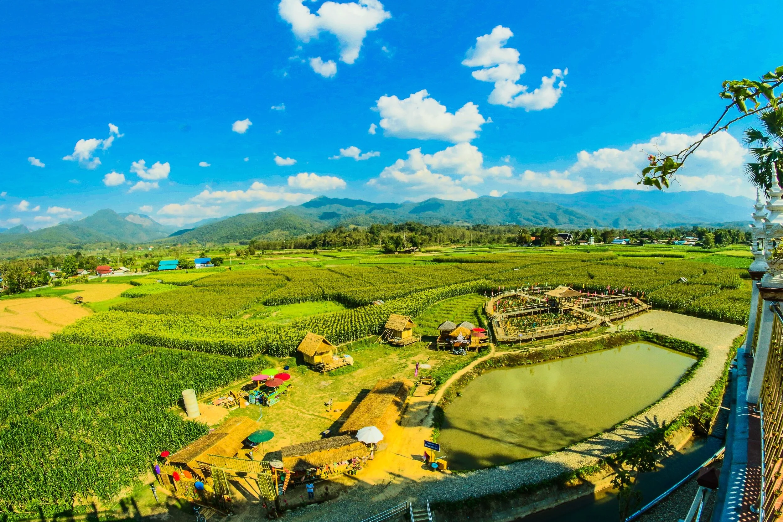 Thailand: Supply, Demand, And Prices For Agricultural Crops