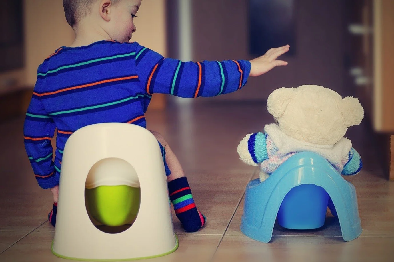 Training Your Child For Portable Toilets: Tips And Tricks For Dads