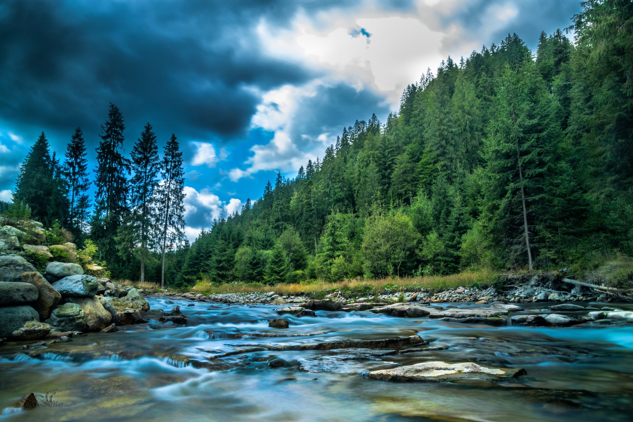 6 Survival Tips You Should Know Before Going Out Into The Wilderness