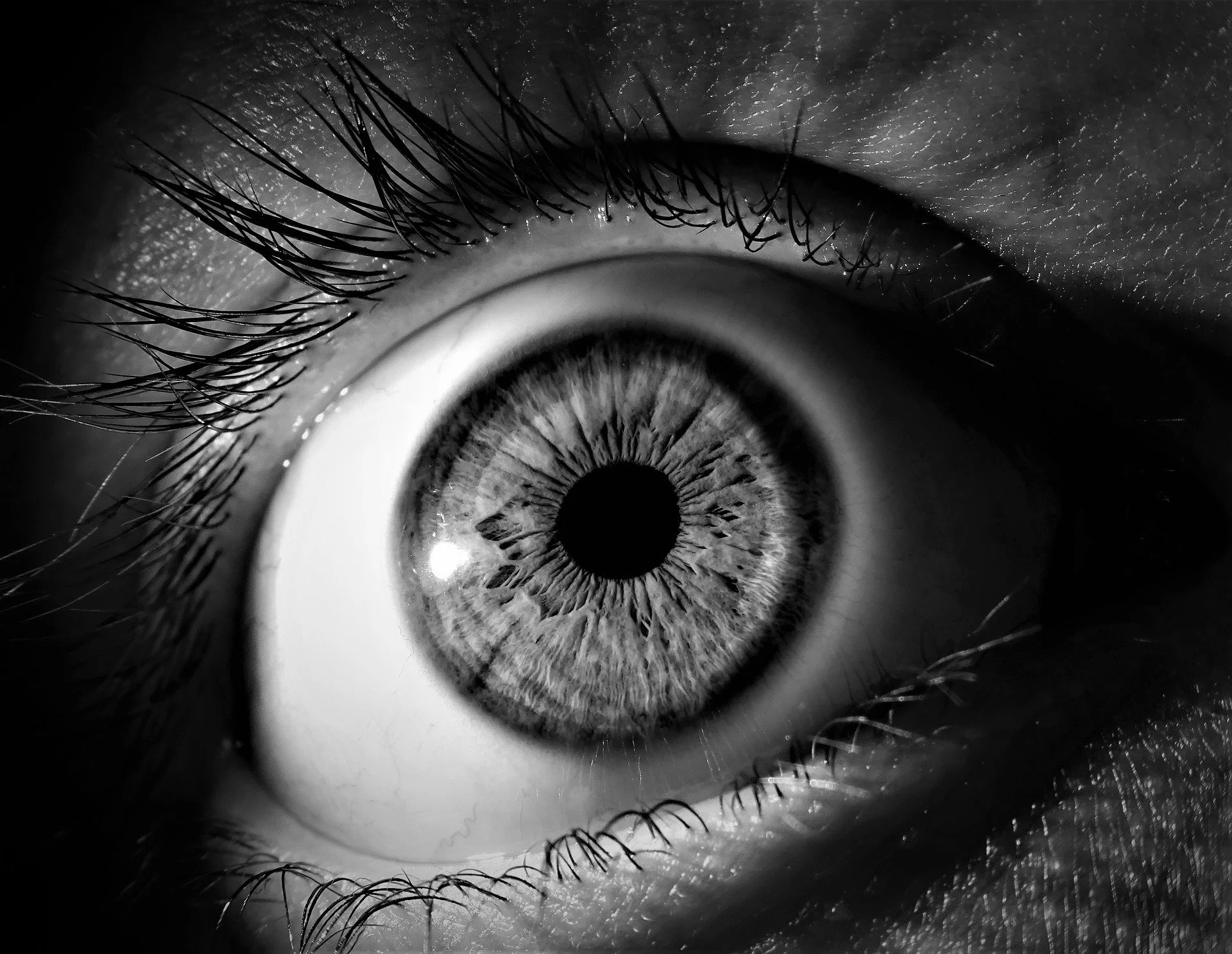 4 Vision-Boosting Tips To Keep Your Eyes Healthy