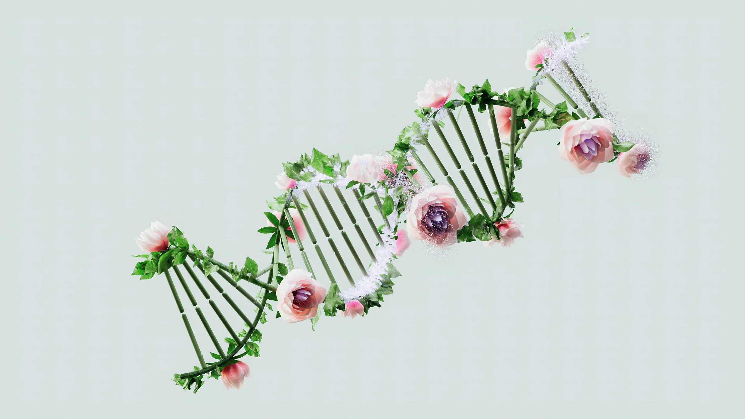 Secure Your Immigration Future: The Benefits Of Legal DNA Testing