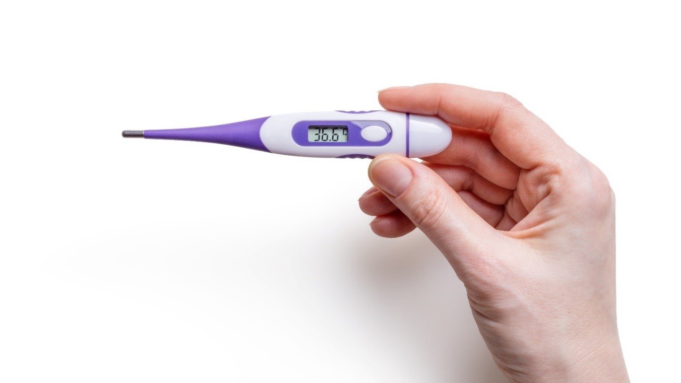 Analog and Digital Thermometers