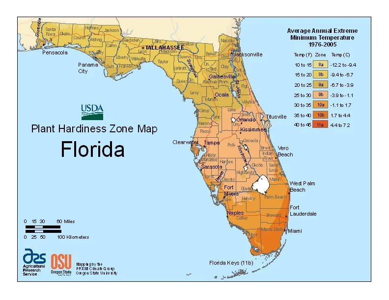 fl.jpg