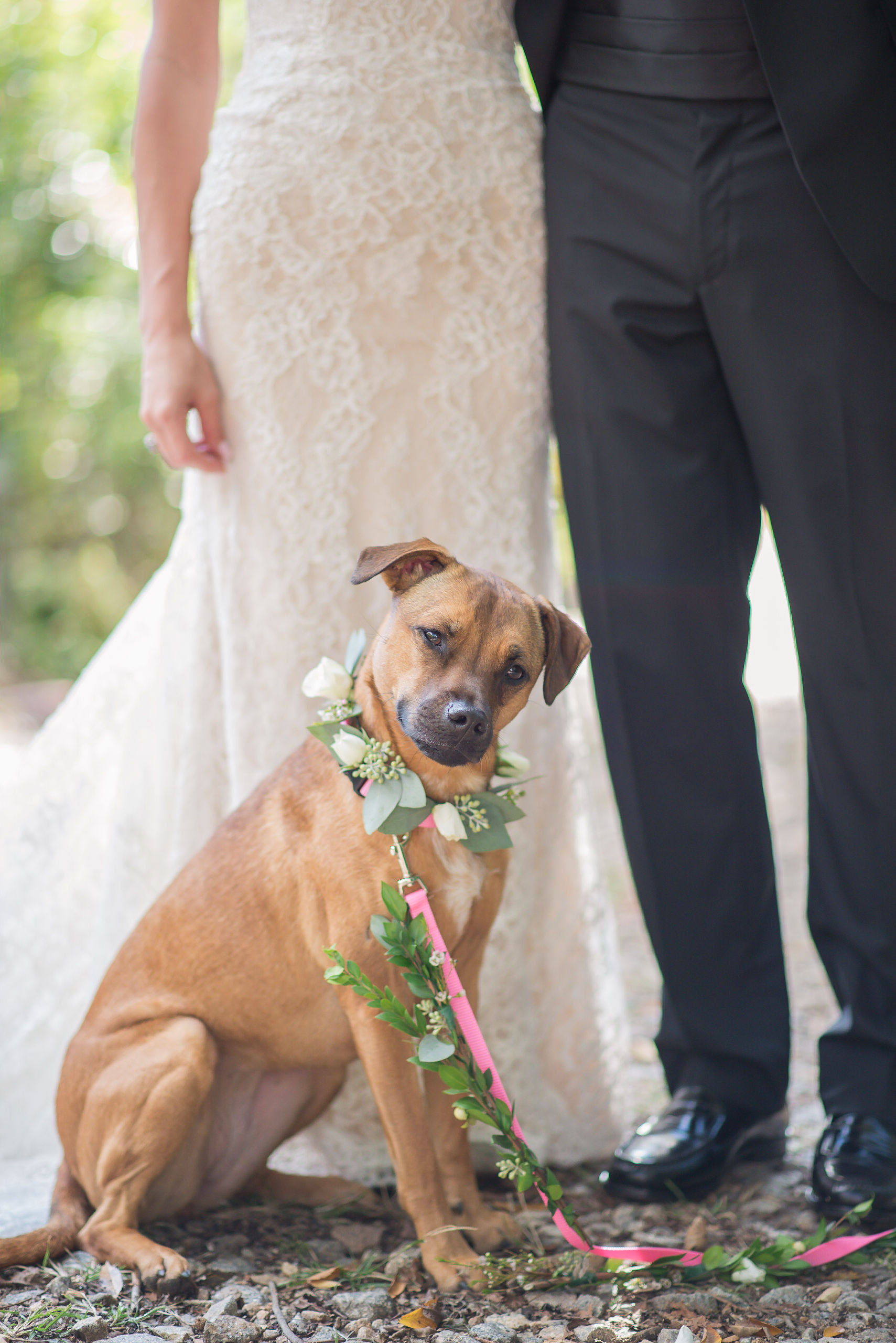 Sally+BradbyElizaMorrillPhotography-357.jpg