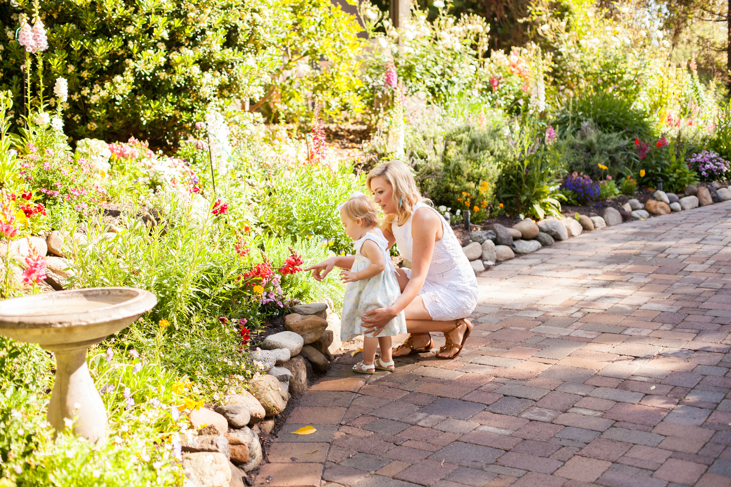 Cline's-minisession-46.jpg