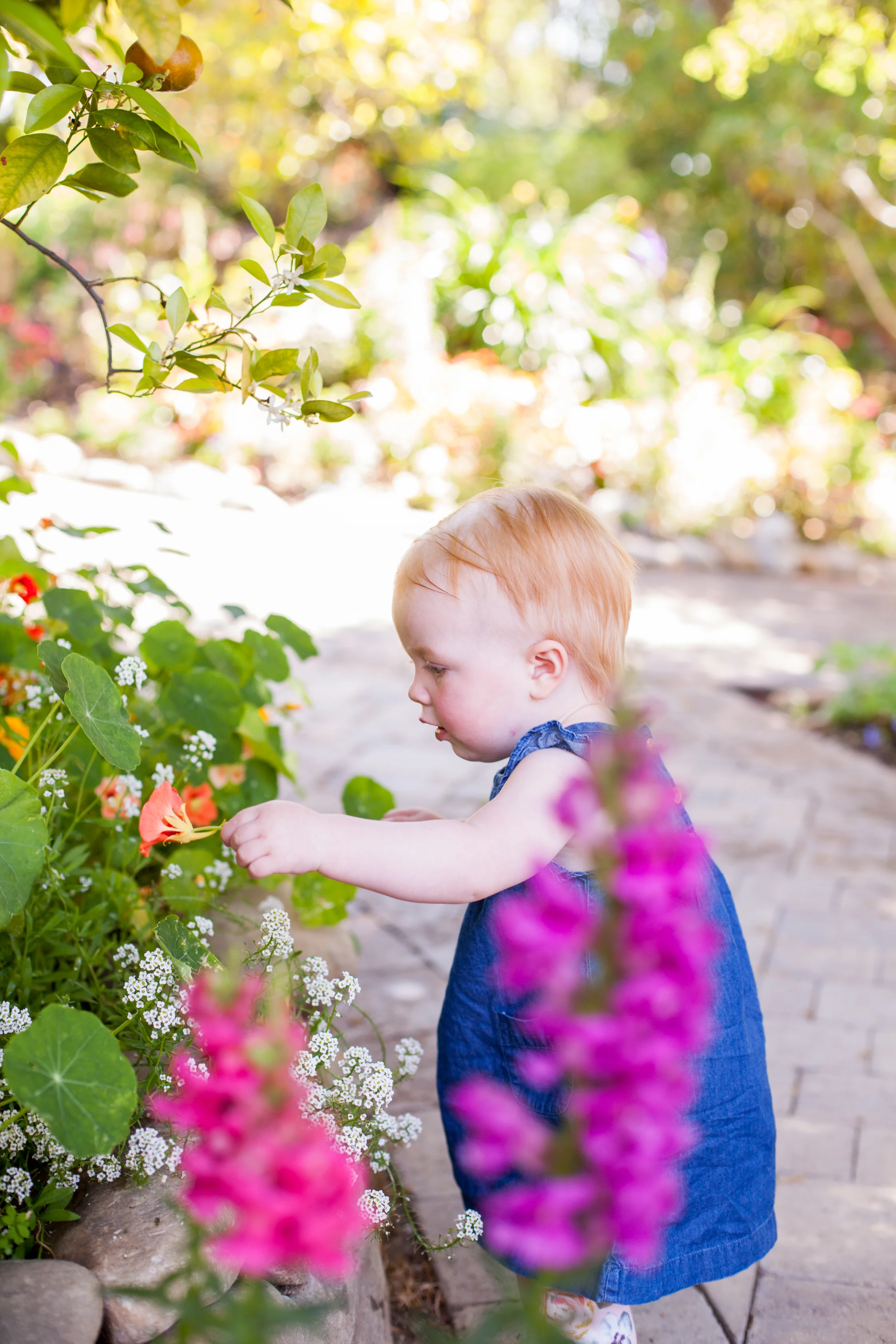 Morgan-1year-31.jpg