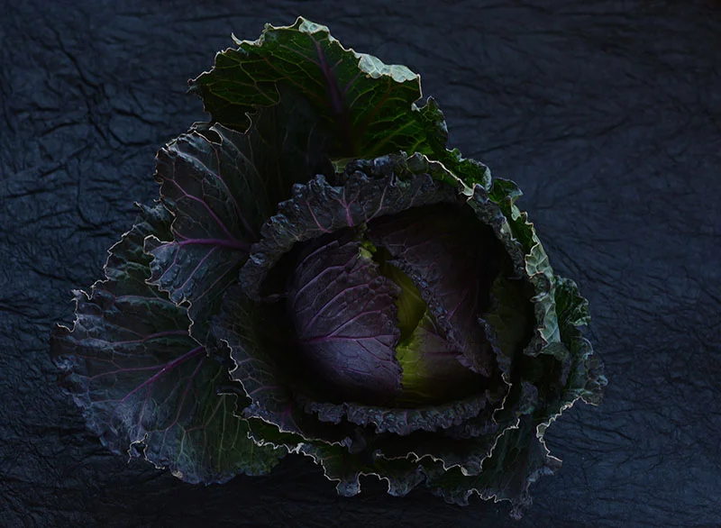 BLACK CABBAGE - FOTOĞRAF EBRU ATLAN (Copy)
