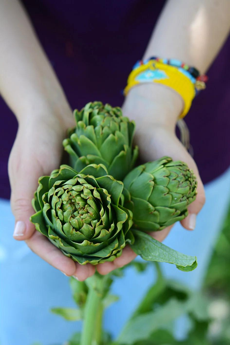 SAKIZ ENGİNAR  - FOTOĞRAF EBRU ATLAN (Copy)