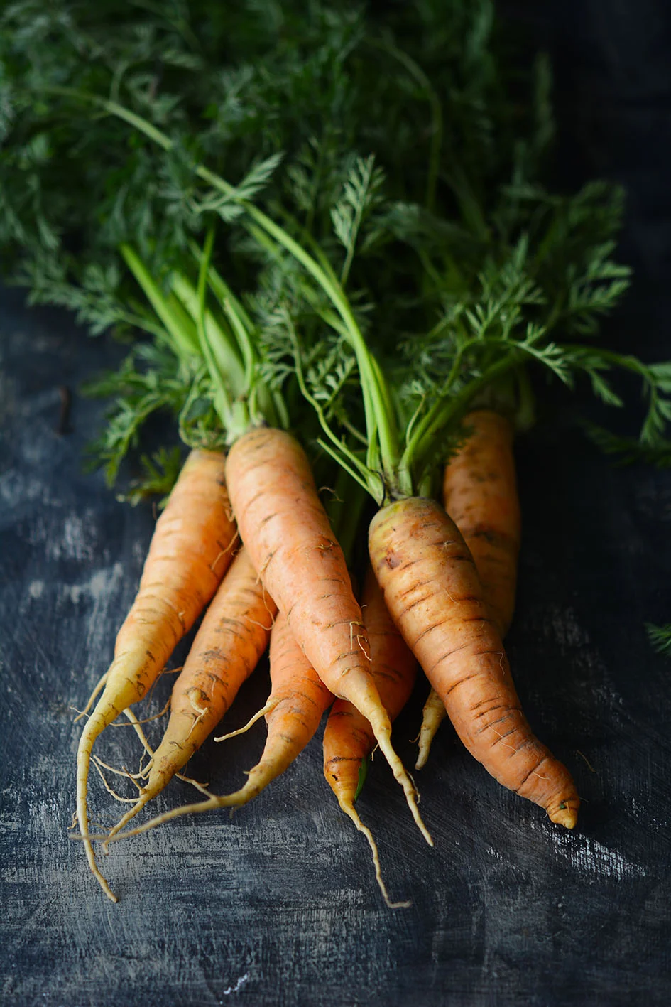 YABANİ HAVUÇLAR - FOTOĞRAF EBRU ATLAN (Copy)