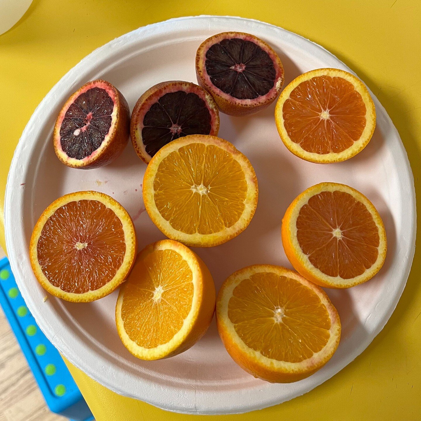 When life gives you 3 different kinds of oranges and you're learning about the letter O, what do you do? Make delicious orange juice, of course!

At Linda Beach Cooperative Preschool, we encourage play and experiential learning within a gently struct