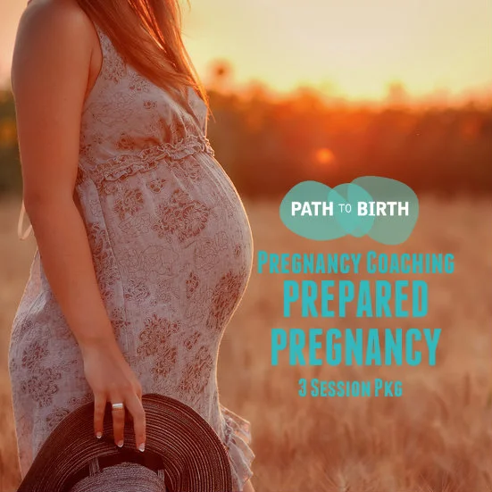 Web Image - Prepared Preg Pkg.jpg