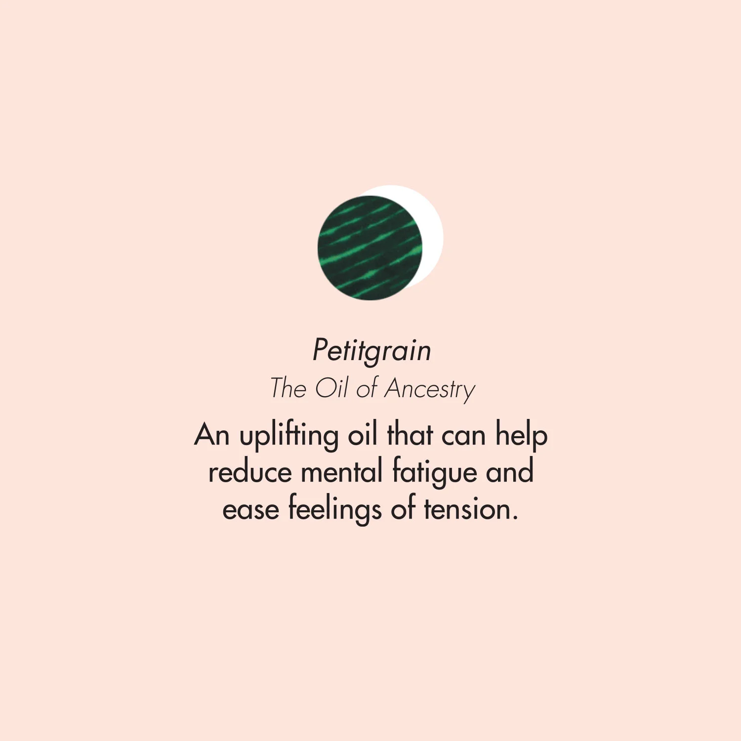 ptb_oils_petitgrain.jpg