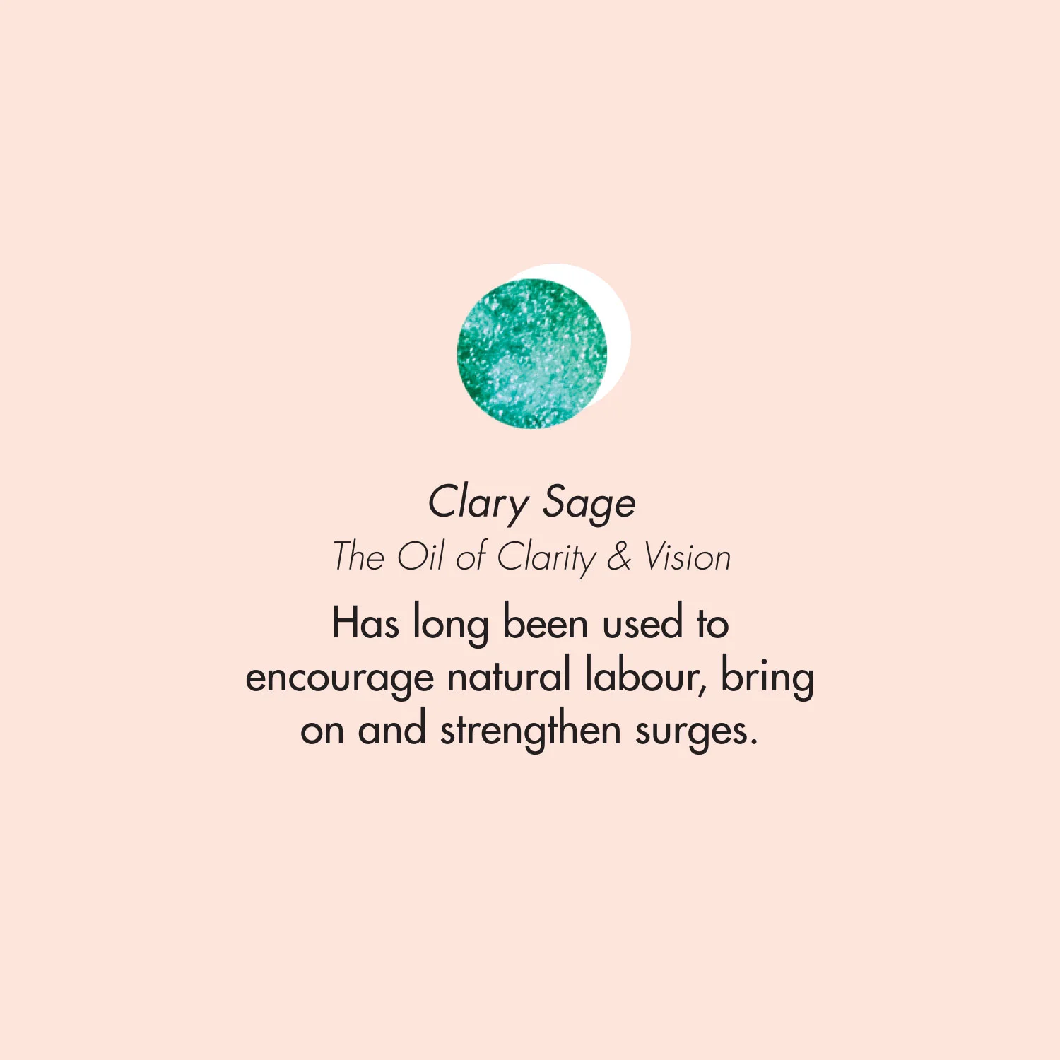 ptb_oils_clarysage.jpg