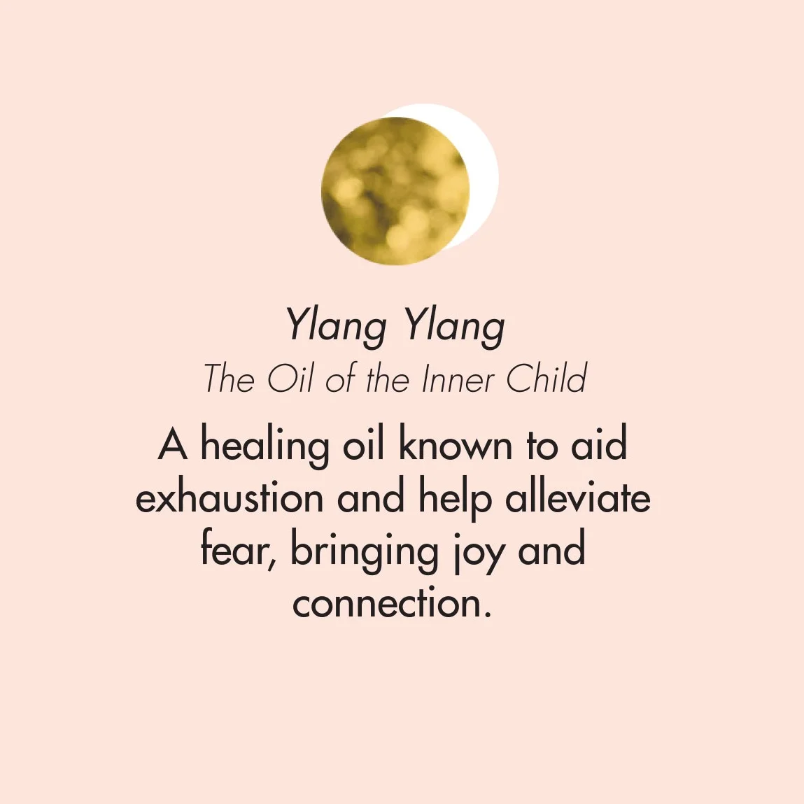 ptb_oils_ylangylang.jpg