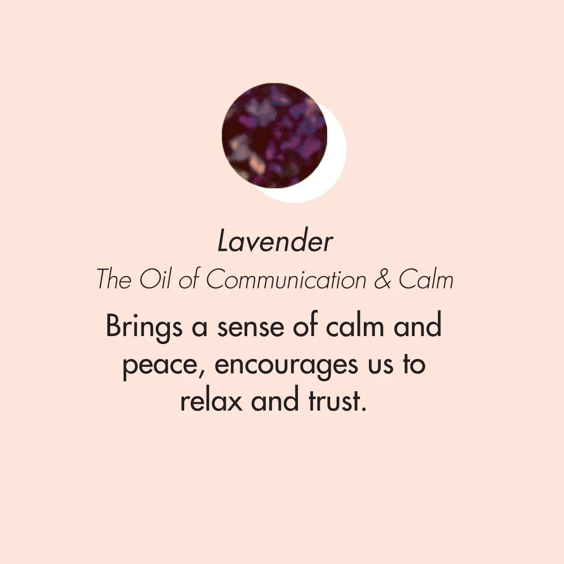 ptb_oils_lavender.jpg