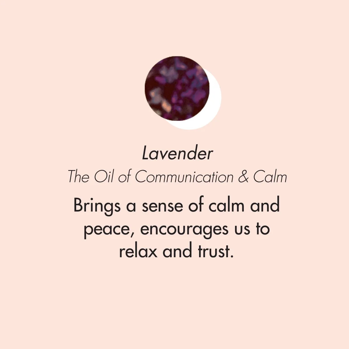 ptb_oils_lavender.jpg