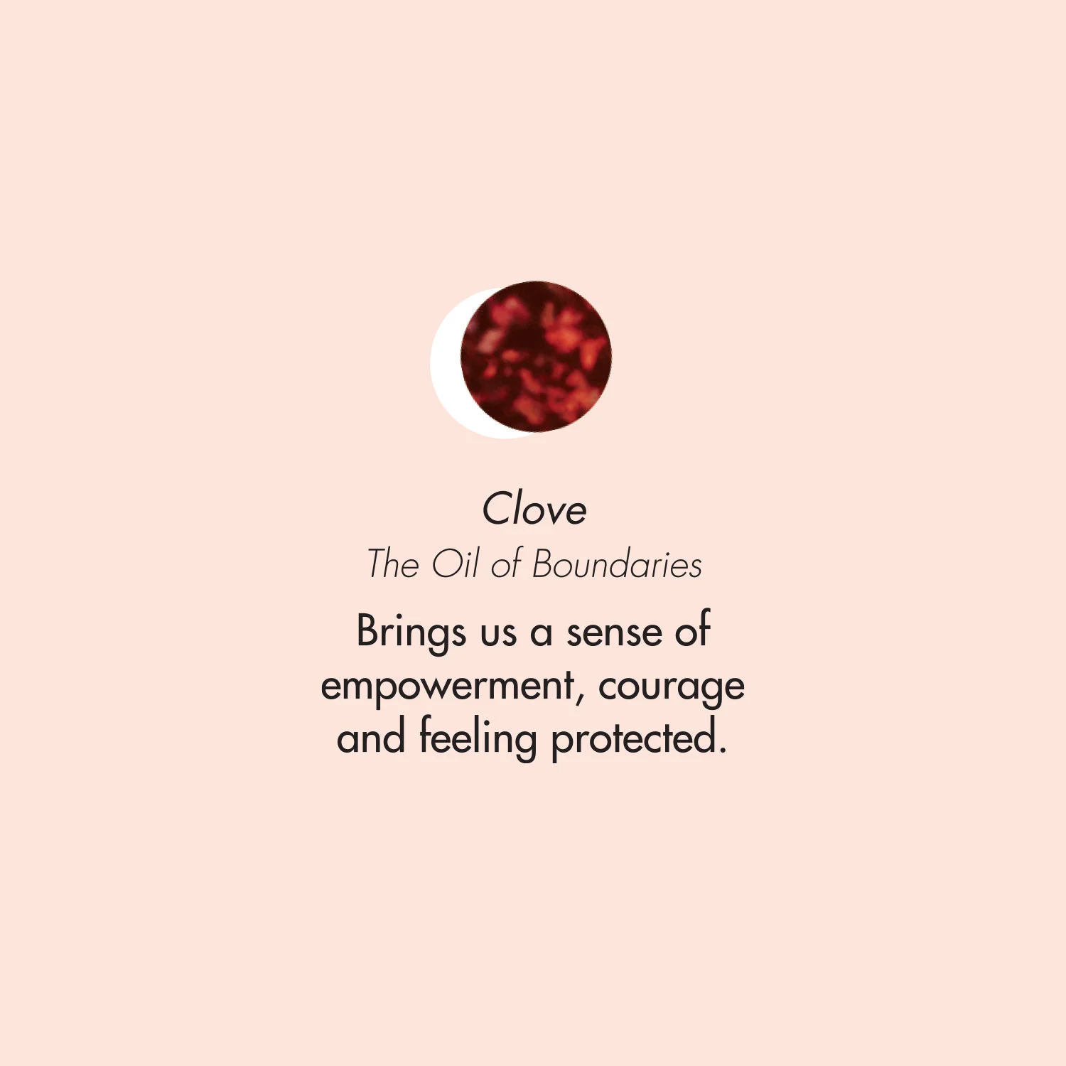 ptb_oils_clove.jpg