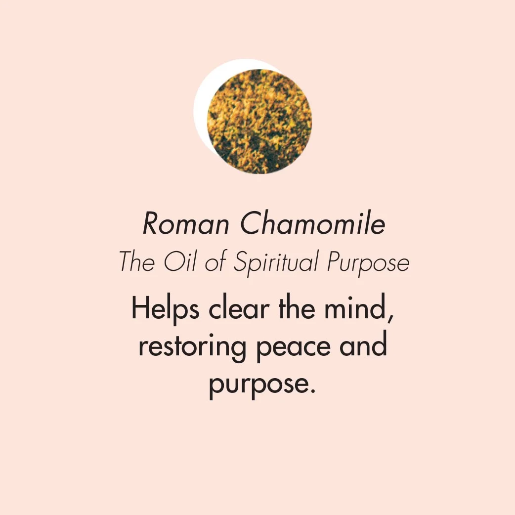 ptb_oils_romcham.jpg