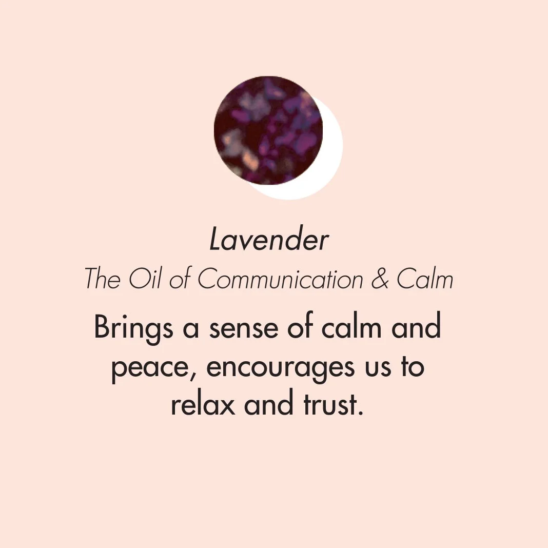 ptb_oils_lavender.jpg