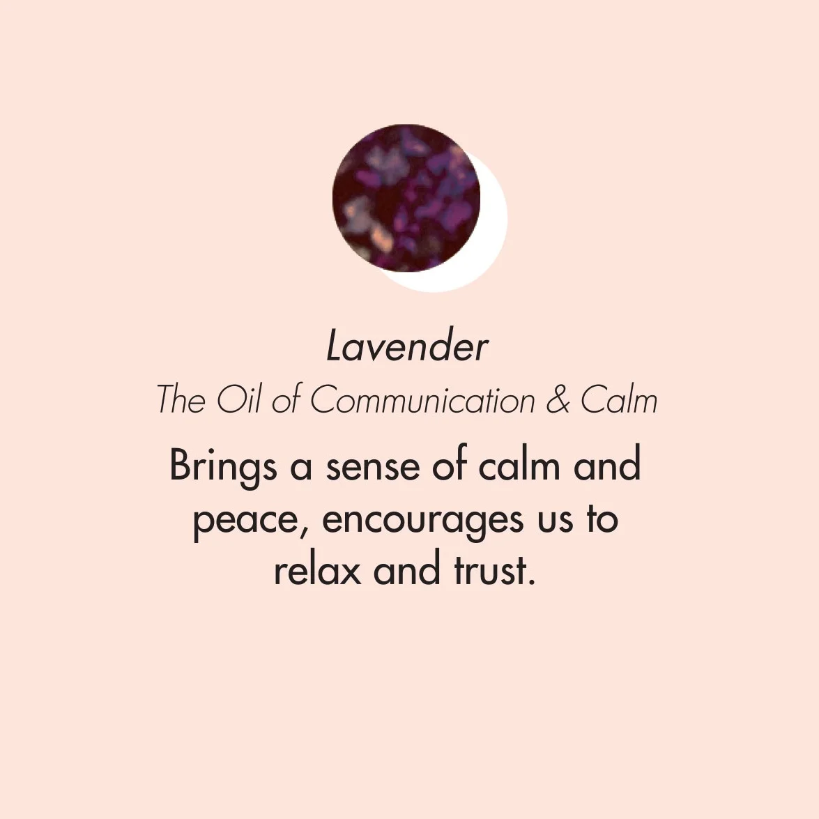 ptb_oils_lavender.jpg