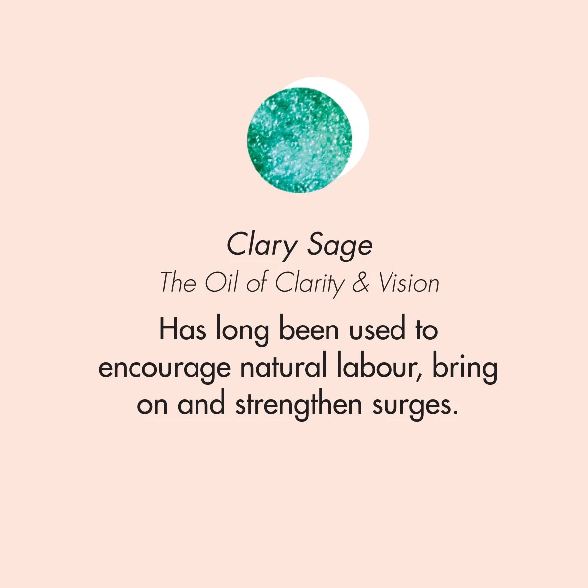 ptb_oils_clarysage.jpg