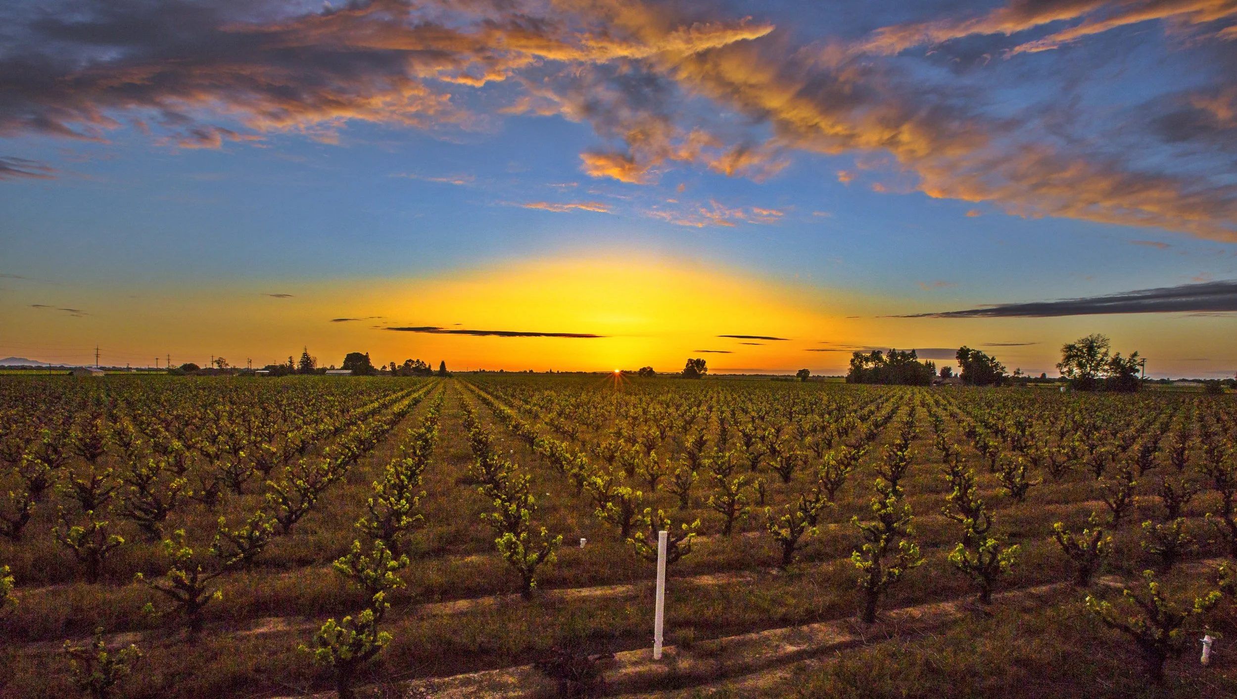 2017-06-21 19.27.26.jpg