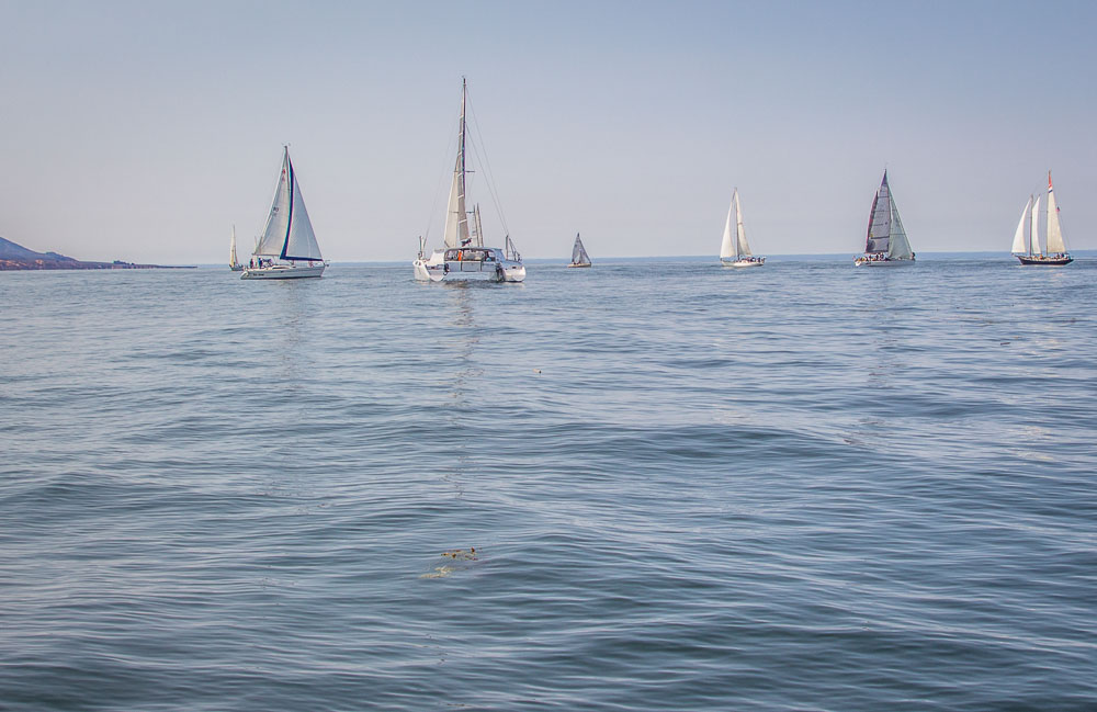 ZongoYachtingCup_2018_59.jpg