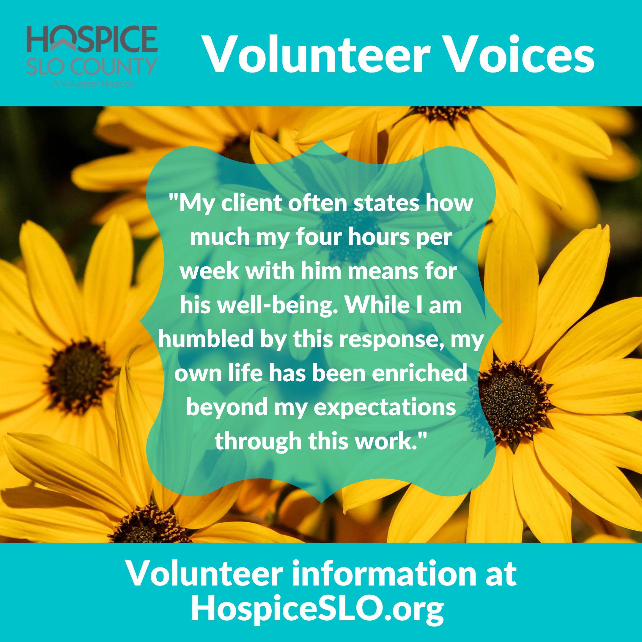 12 Volunteer Voices 2.png