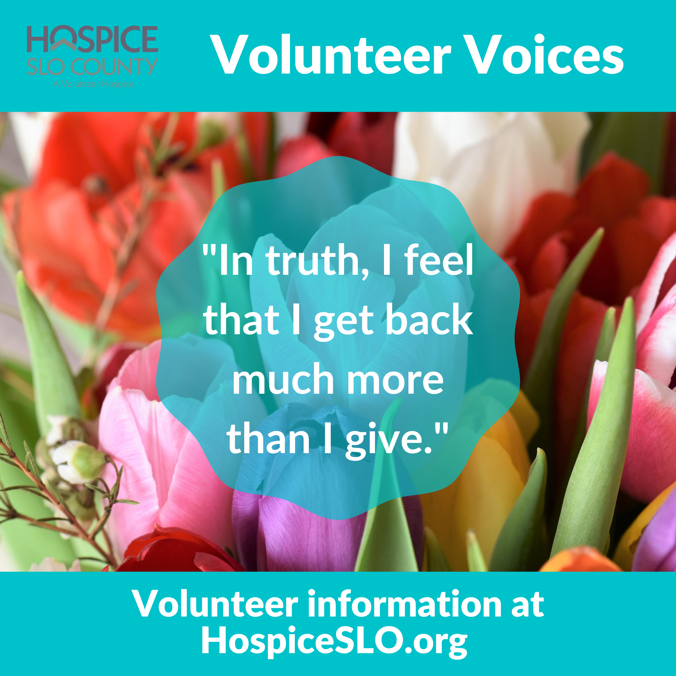 12 Volunteer Voices 1.png