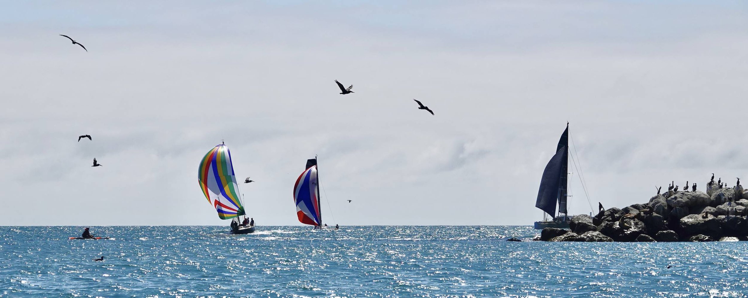 Fleet_Finish_Line_Zongo_Cup_2026.jpg..jpg