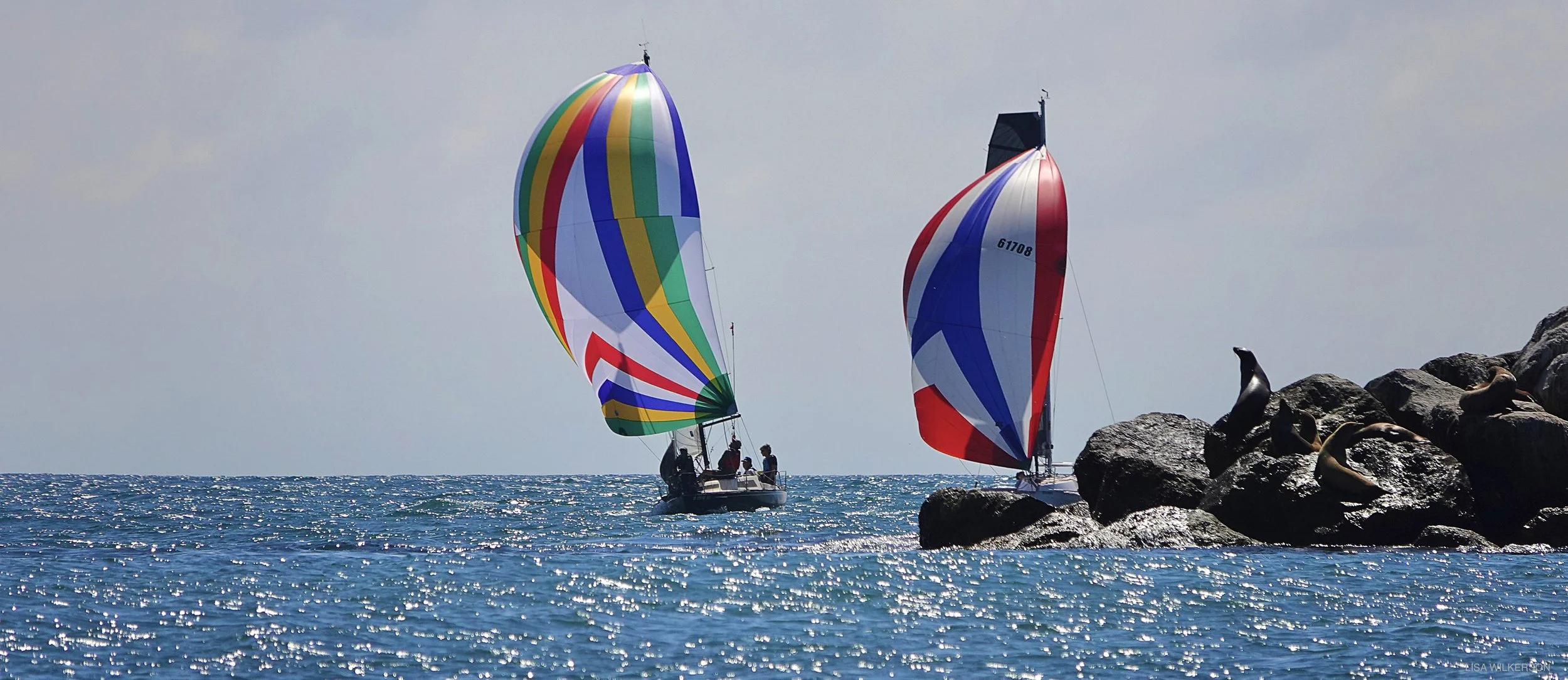 Janina_and_Sea_Lions_Zongo_Cup_2026.jpg