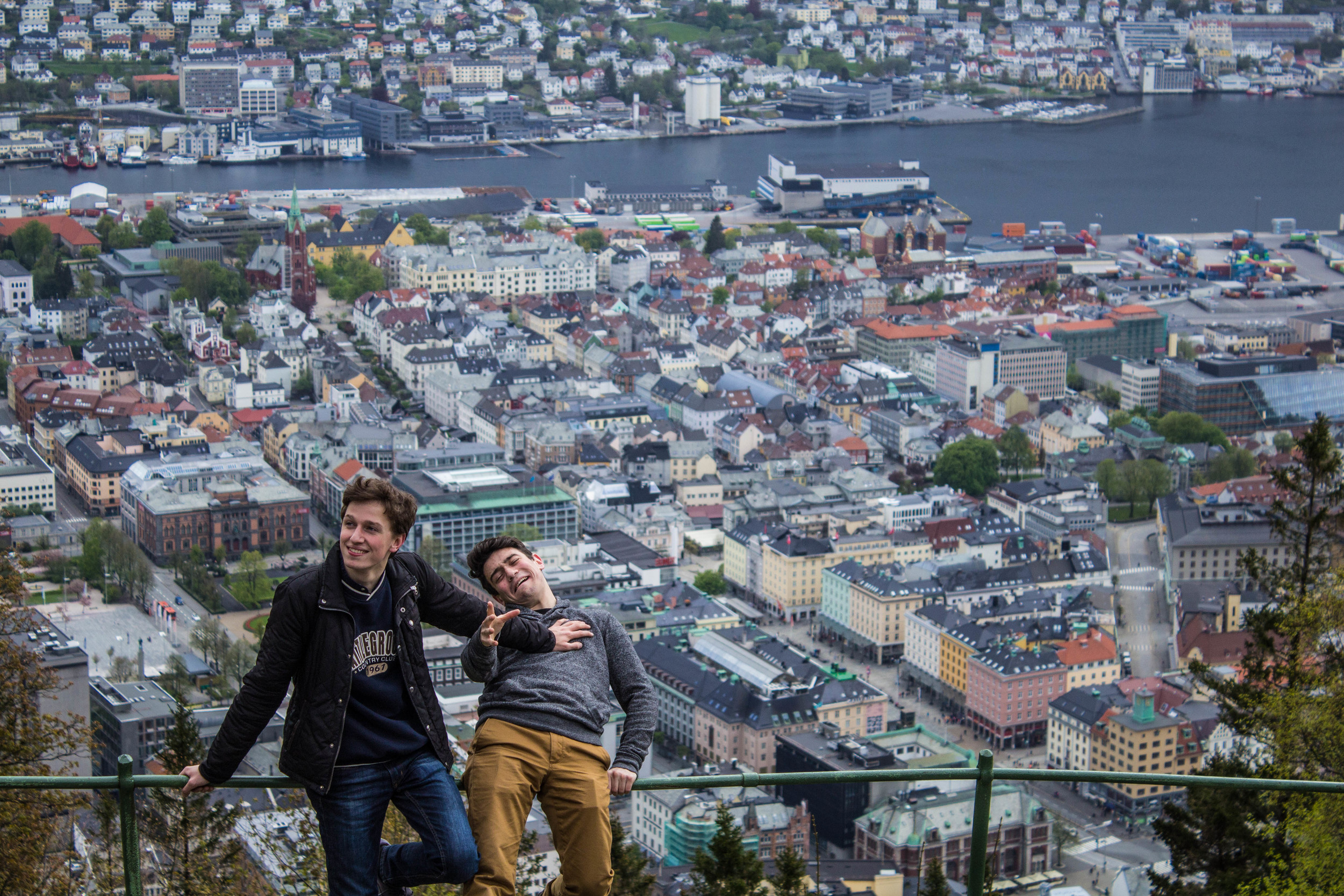 Cat love: pushing each other down fjords (Bergen, Norway)