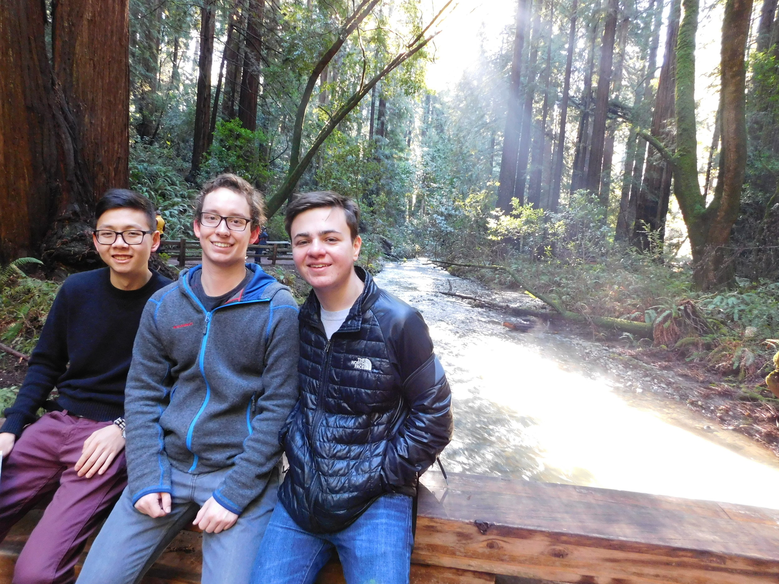  Cats at Muir Woods 