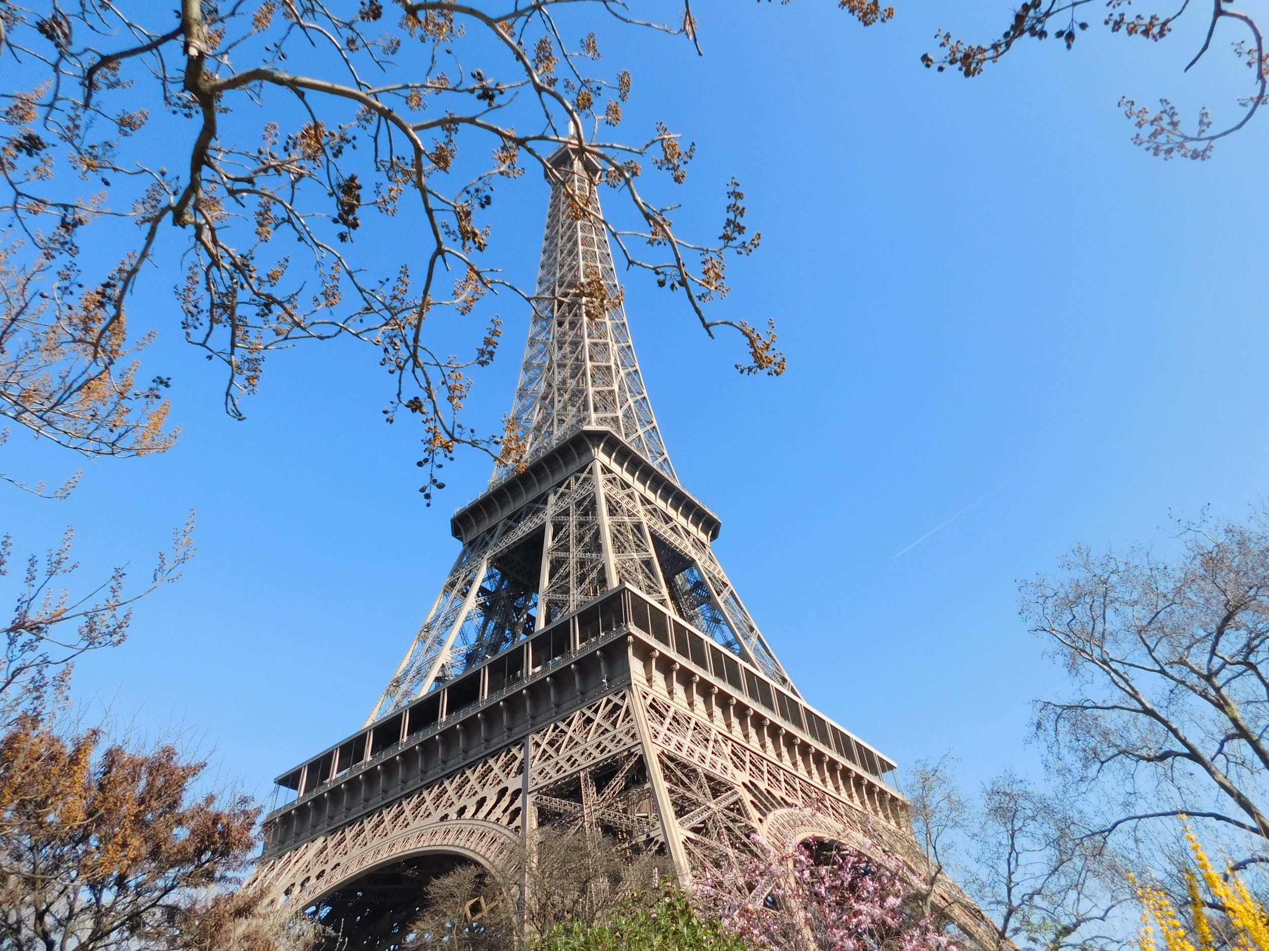  Group trip to the Eiffel Tower! 