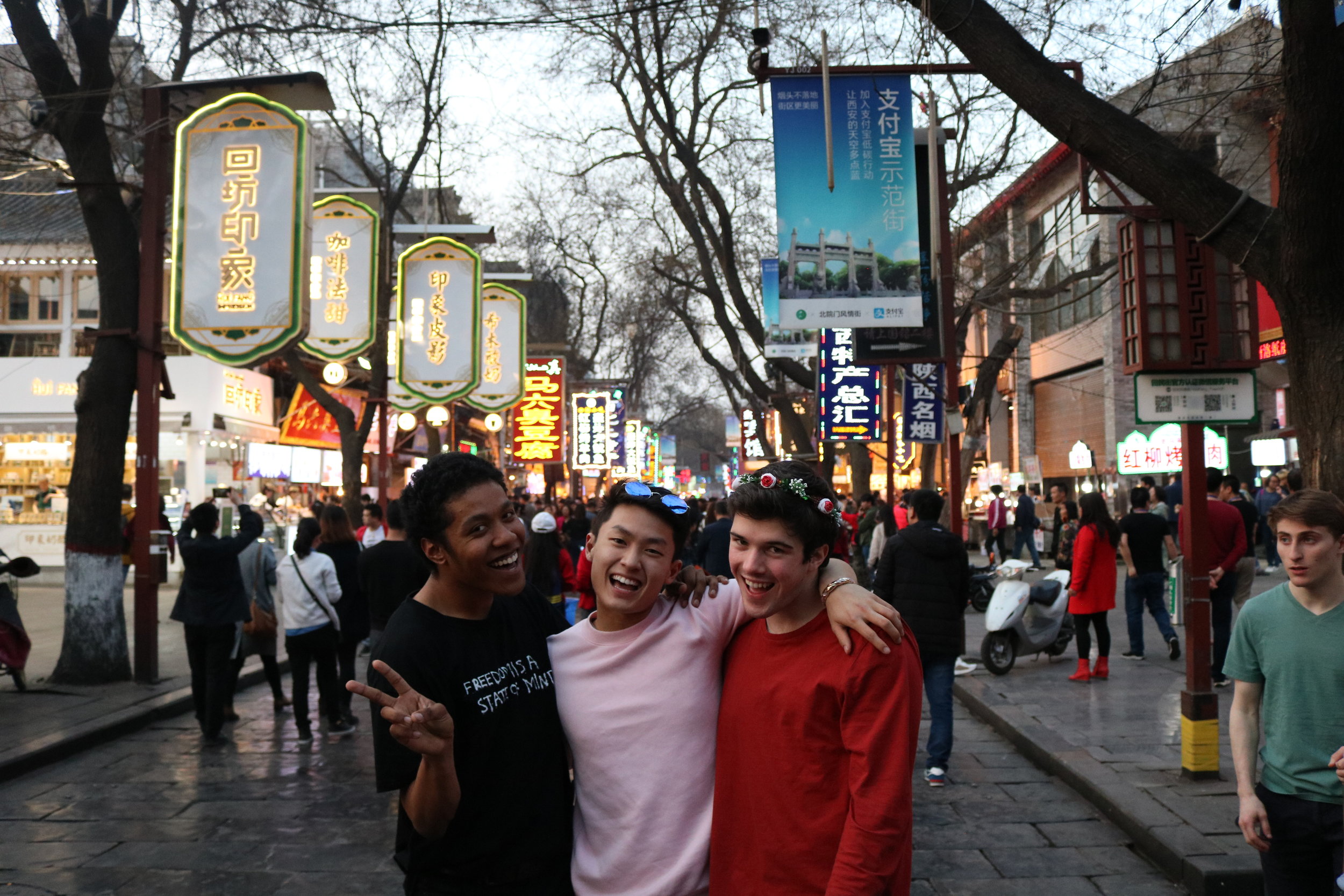  Three of our kittens out on the city in Xi’an on our free day 