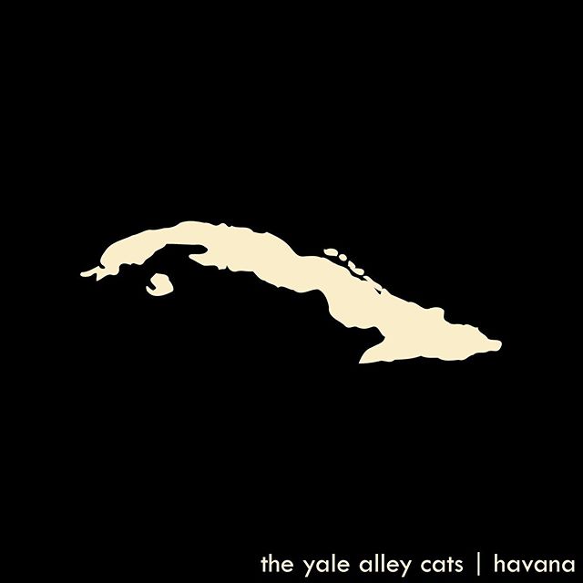 Havana, the lead single from our upcoming album, JUST DROPPED on all streaming services! Go listen now, and enjoy your trip to the tropics with the Yale Alley Cats! 🏝