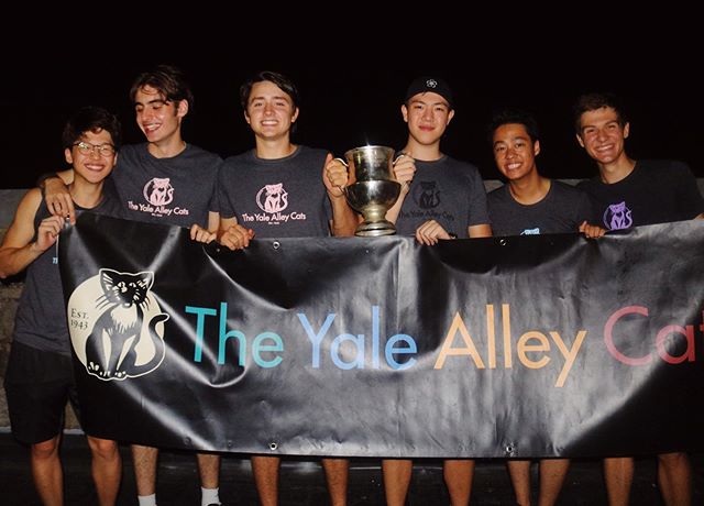 The Yale Alley Cats Class of '23! We could not be more excited to welcome our six newest kittens, Seoho Kim '23, Adrien Rolet '23, Owen Wheeler '23, Alexander Wang '23, Carl Viyar '23, and Yaakov Huba '23 to our Alley Cat family! This is just the beginning of an incredible 76th season, and we're ecstatic to have you all along for the ride! #CAW